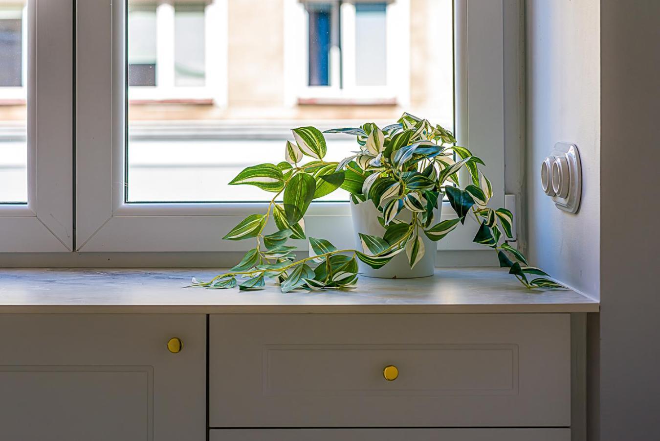 Apartament Koszykowa 3 Warszawa